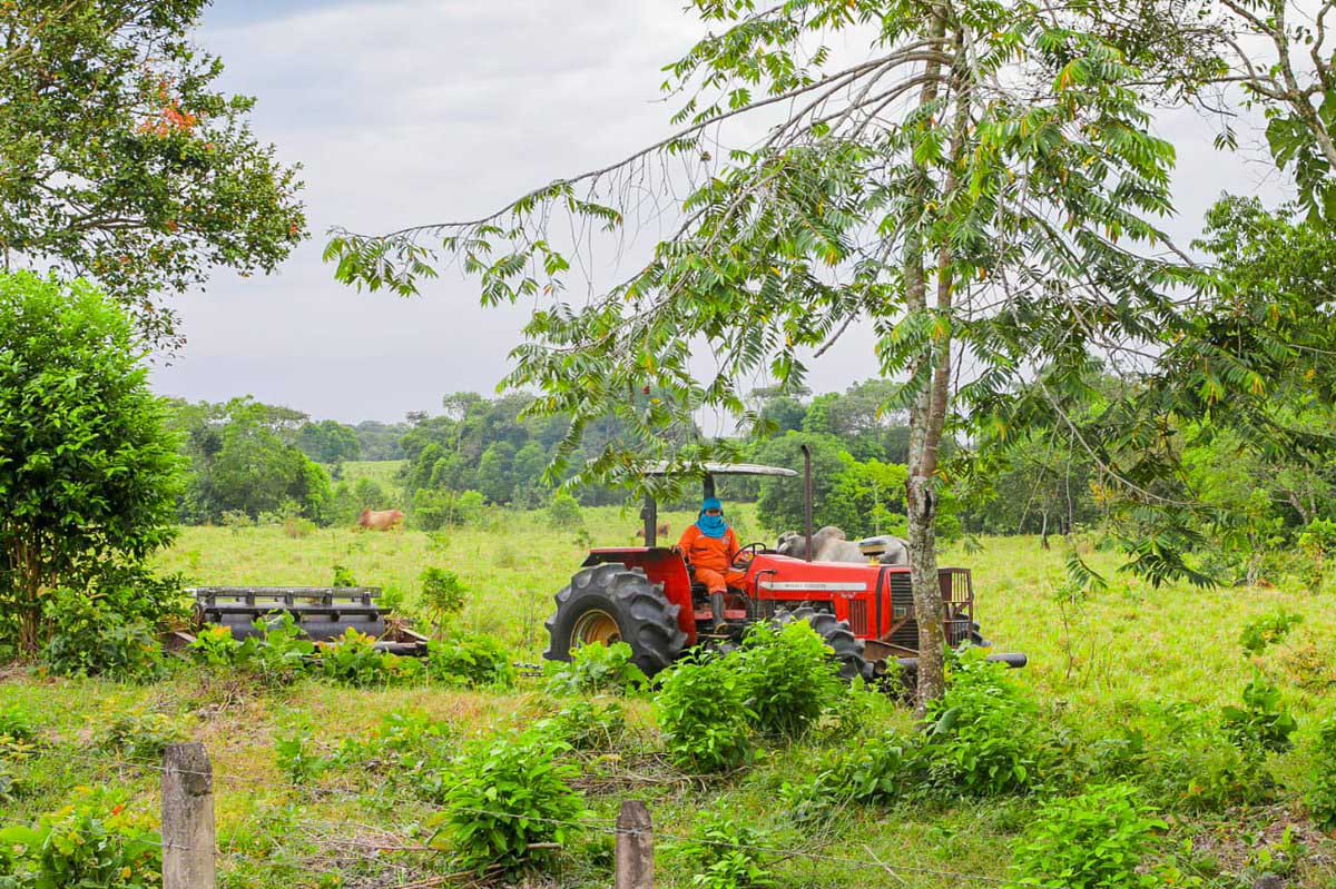 DudXOPFXgAA z3q Karen Abudinen