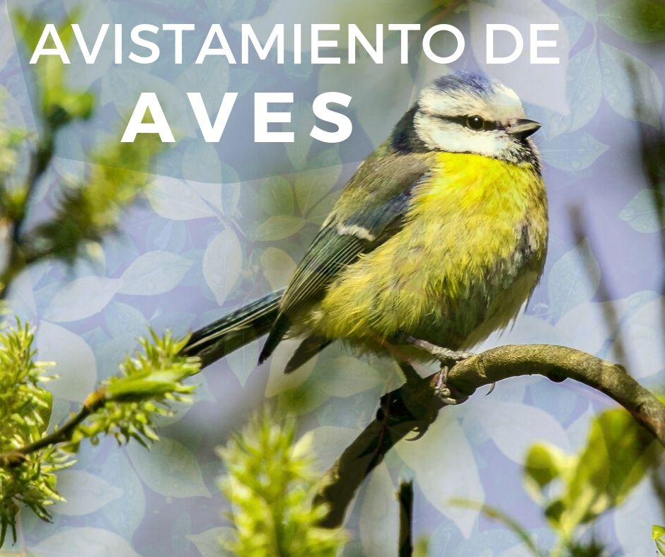 Surprise Flash Sale 10 1 Karen Abudinen Surprise Flash Sale 10 1 Karen Abudinen